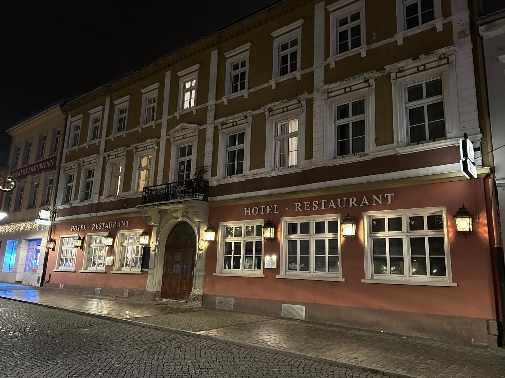 Hotel Sachsenhof Riesa Exterior photo